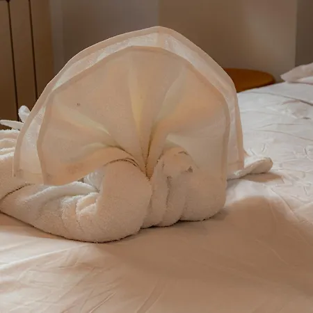 Designer Loft In The Center - Wi-fi * Trieste